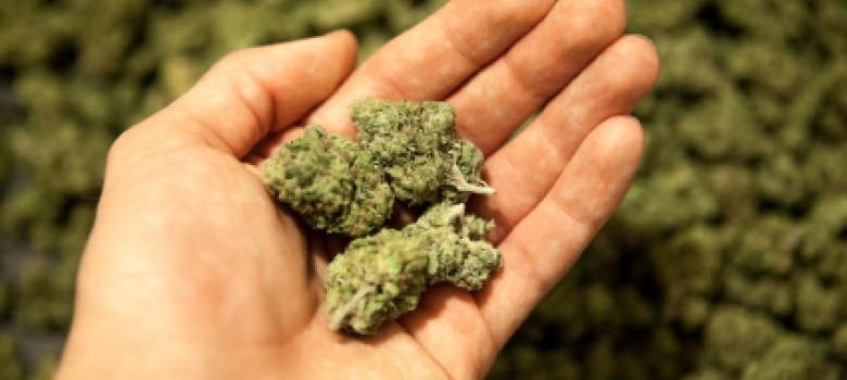 Washington DUI Law for Marijuana Sparks Debate